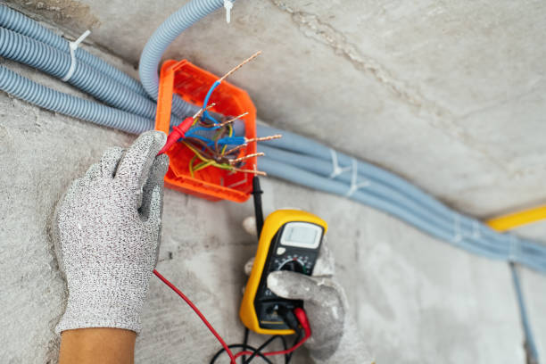 Best Electric Panel Repair  in Suncoast Estates, FL